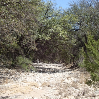 TweedyRanch (33)